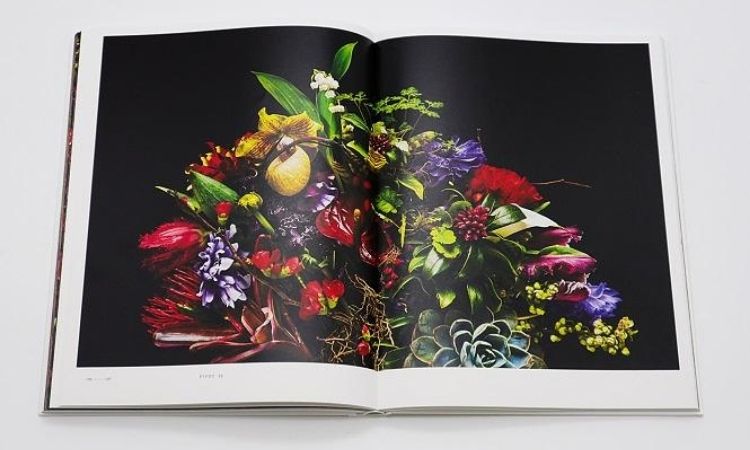 Encyclopedia of Flowers V: 植物図鑑