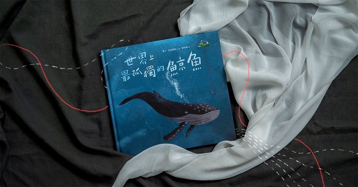 寂寞使你更自由？大人繪本推薦《世界上最孤獨的鯨魚》在一個人的路上，看見遠方的光