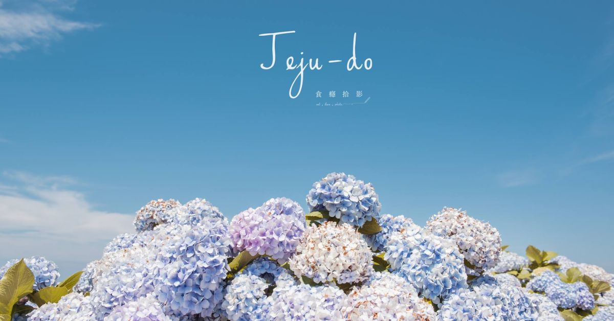 想要保持好心情，那就用《濟州島色Colors of Jeju》填滿整個世界！