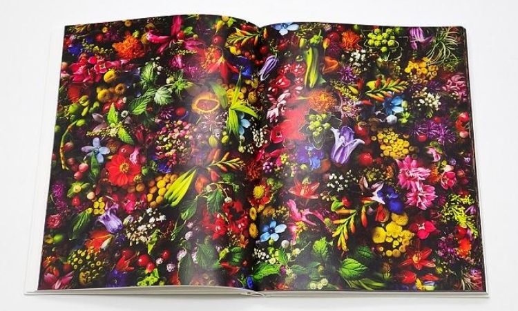 Encyclopedia of Flowers V: 植物図监