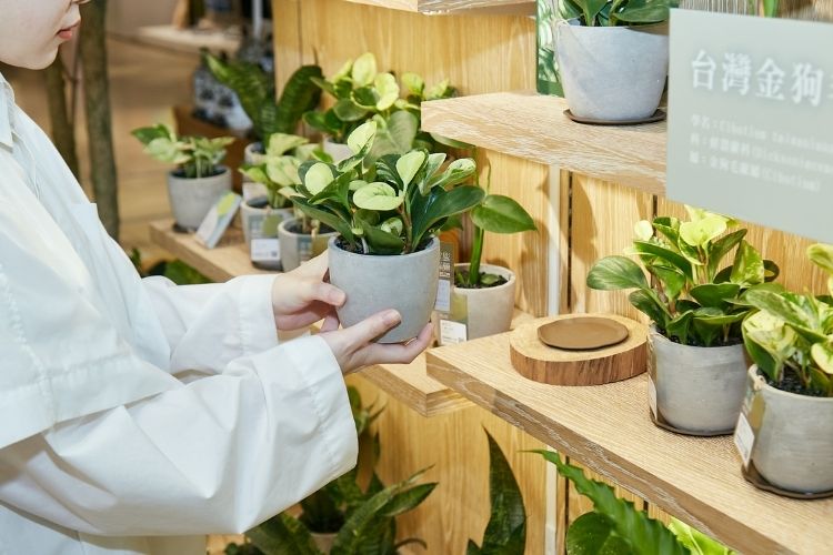 expo BEAUTY美感生活概念店3/23獲邀進駐京站時尚廣場B1全新展店,為北車商圈注入一股綠意!全新推出green beauty主題,強調「與人友善」、「動物友善」、「海洋友善」、「環境友善」綠色保養四大友善堅持。