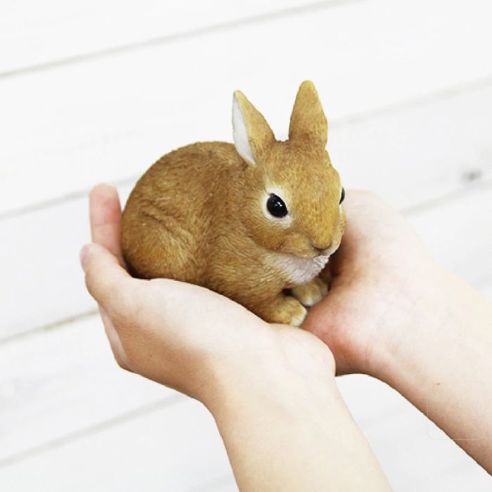 日本magnet宠物存钱筒 / 兔子