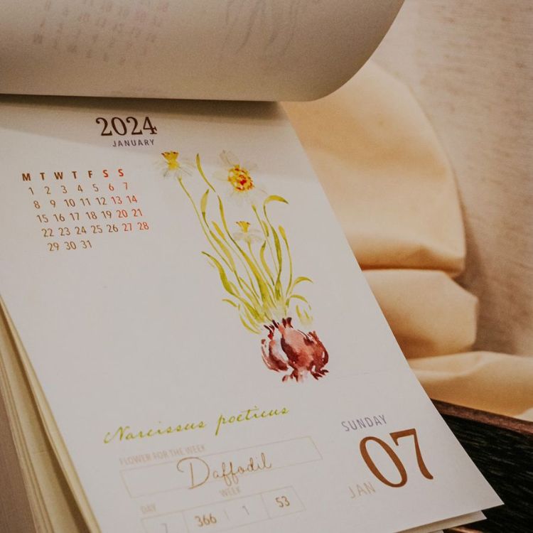 《2024　Meow　Illustration水彩植物366可撕日曆／花開的樣子》
