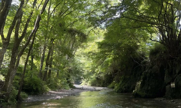 八王子自然娛樂公園