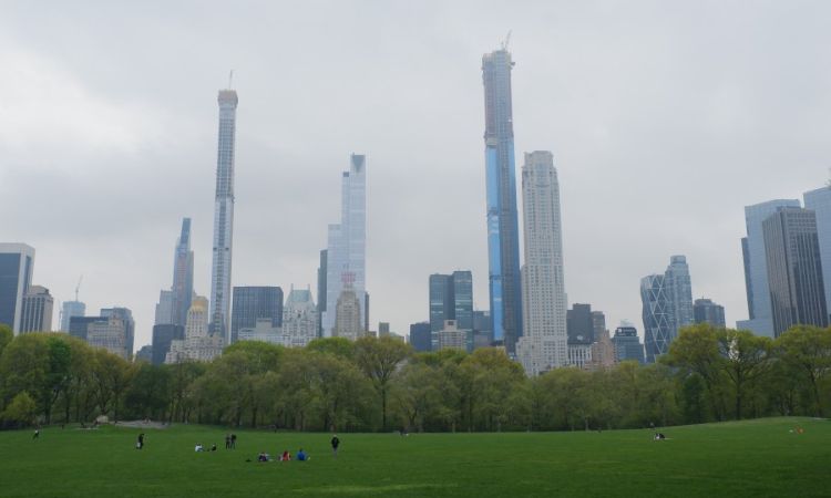 綿羊草原 Sheep Meadow