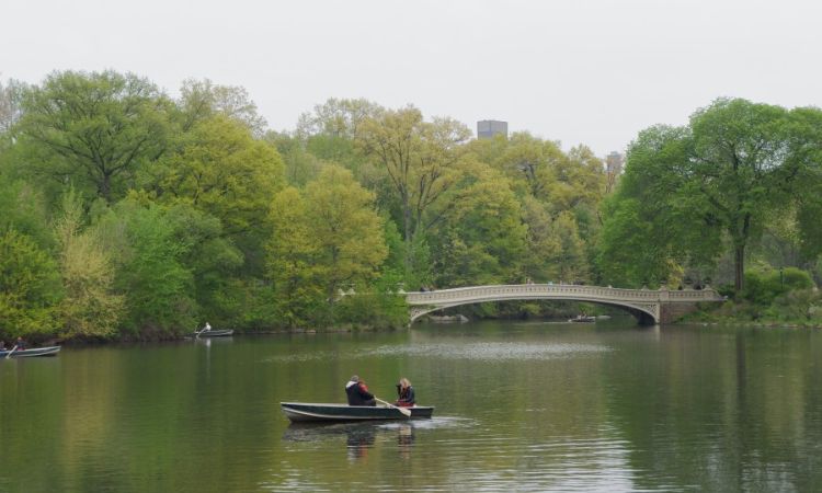 弓橋 Bow Bridge