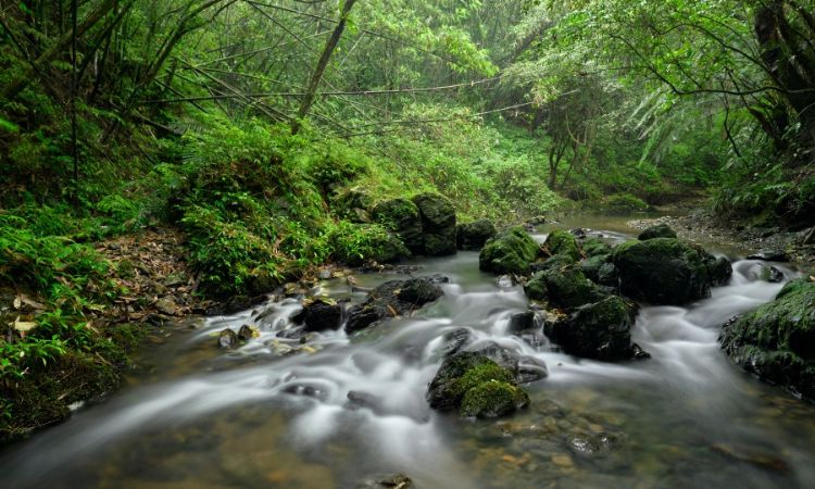 台北淡蘭古道