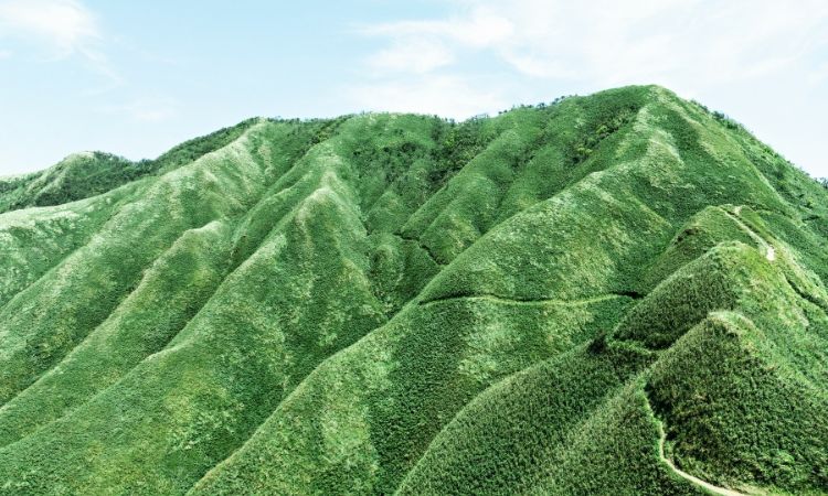 宜蘭五峰旗山（抹茶山）