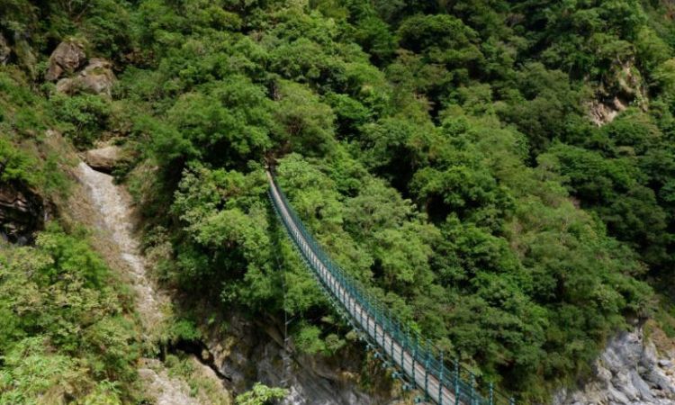 花蓮錐麓古道