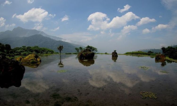 八煙聚落｜新北陽明山