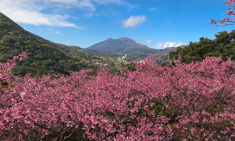 台北陽明山國家公園