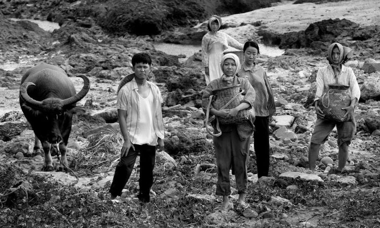 谢三泰《火烧岛：流麻沟十五号》