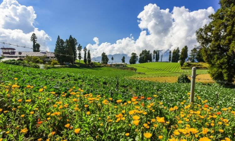 全台親子農場推薦八：台中福壽山農場