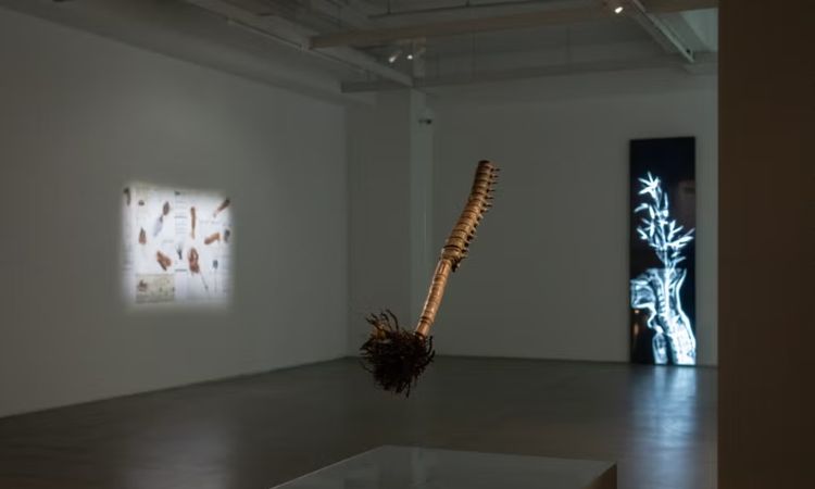 台北必訪藝術空間五：双方藝廊 Double Square Gallery