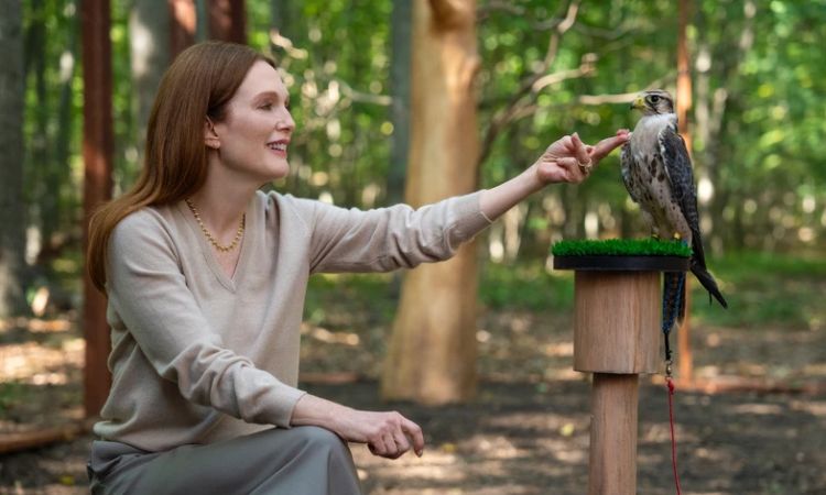 5月美劇推薦五：《妖惑心計》（Sirens）