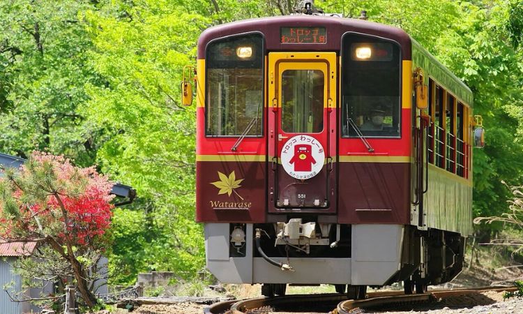 2025日本東京賞楓景點推薦九：渡良瀨溪谷鐵道