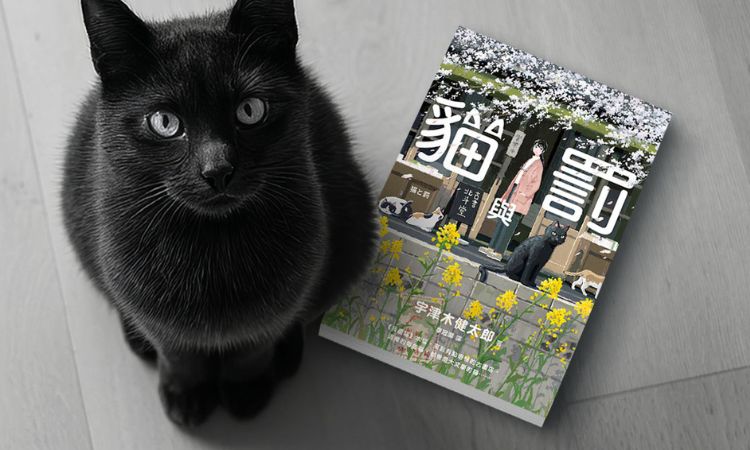 《貓與罰》擬人化貓咪,進入他們眼中的異想世界