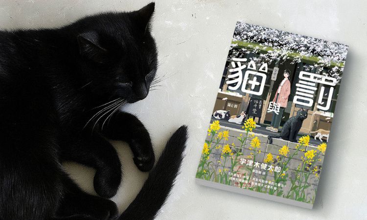 《貓與罰》擬人化貓咪,進入他們眼中的異想世界