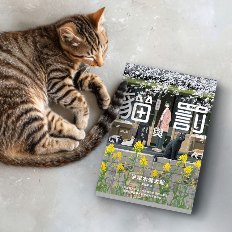 《貓與罰》從陪伴中,拯救過去受傷的自己