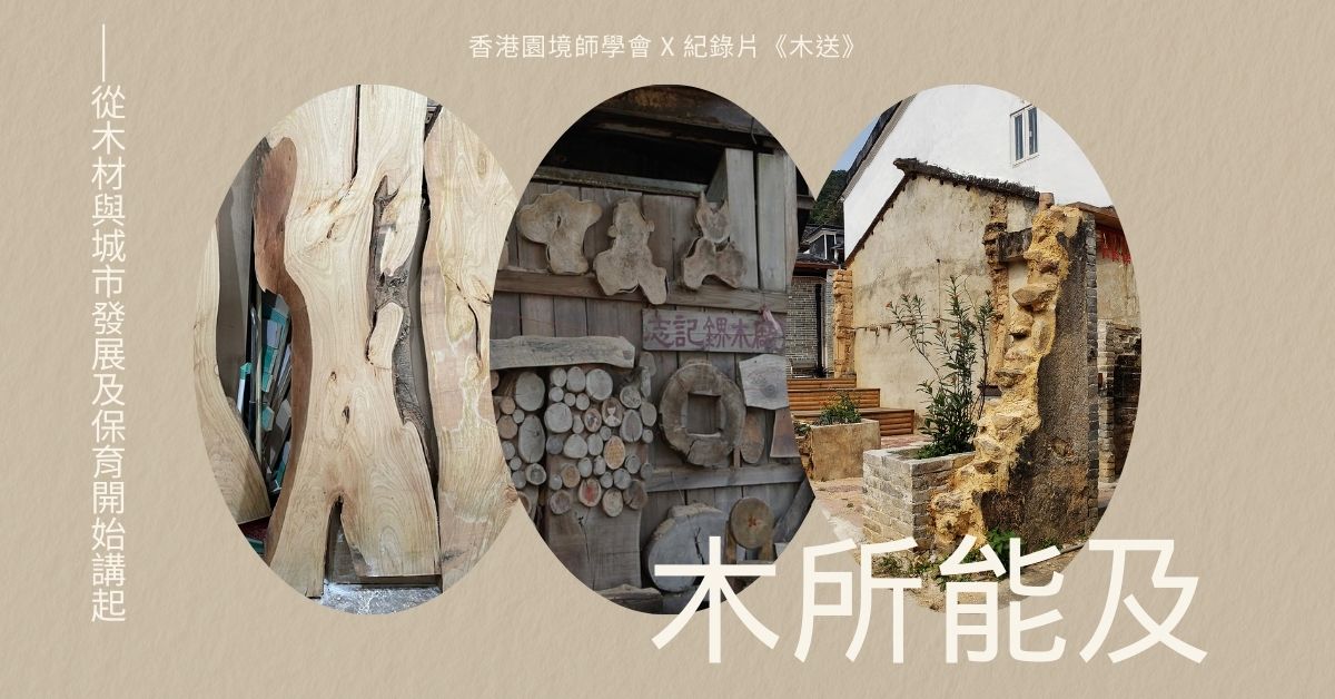 銅鑼灣店活動｜「木」所能及——從木材與城市發展及保育開始講起：香港園境師學會 x 紀錄片《木送》對談