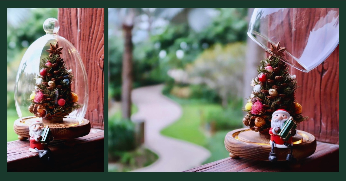 铜锣湾店活动｜新鲜贵族松工作坊