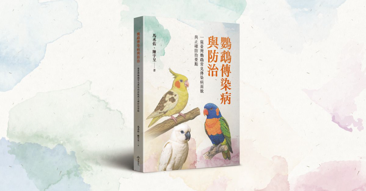 高雄駁二店｜一窺臺灣鸚鵡常見傳染病面貌與防治秘訣