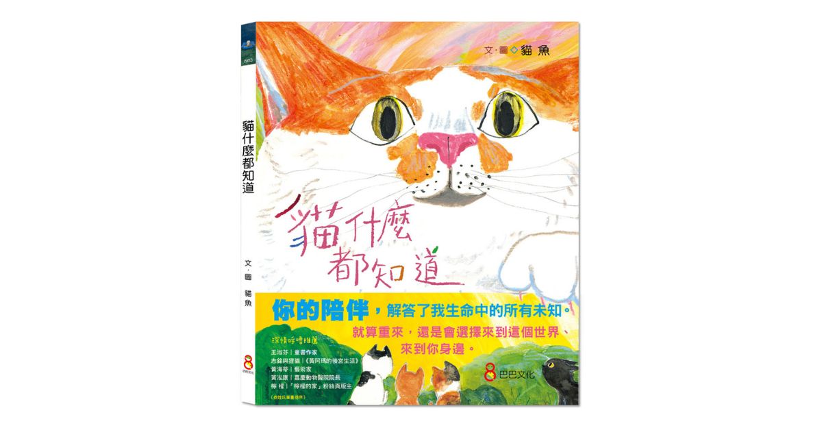 新北新店书店｜巴巴姐姐说故事《猫什麽都知道》