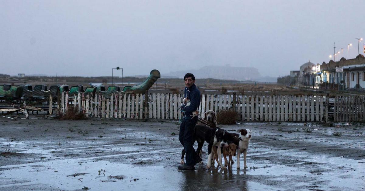狗奴人生 Dogman