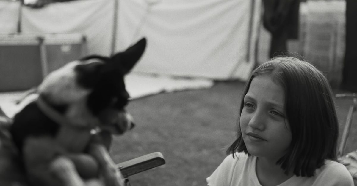 聽牠怎麼說 The Message