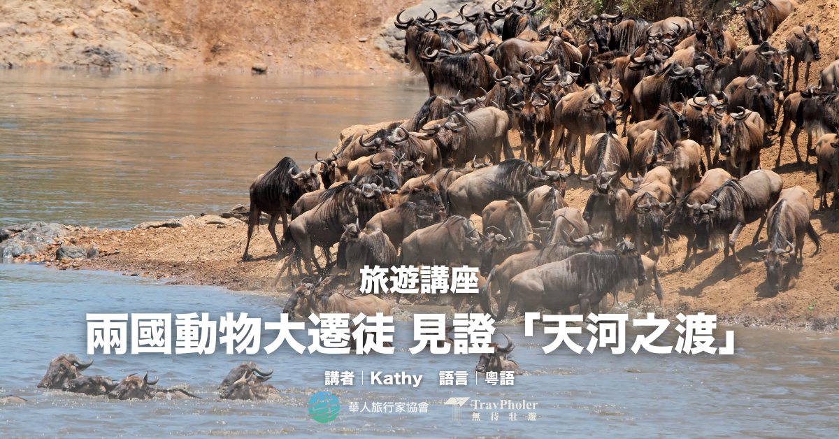 尖沙咀店活動｜兩國動物大遷徒 見證「天河之渡」