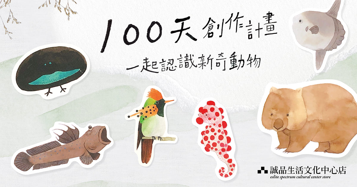 台南展覽|阿加的100天創作計畫,療癒系動物插畫等你來蒐集!