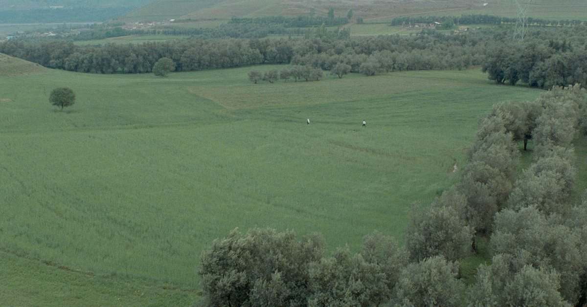 橄欖樹下的情人 Through the Olive Trees