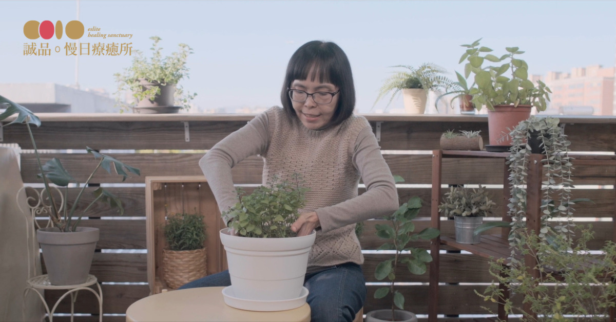 你是哪種植物人格？透過一句話，測出靈魂中的隱藏性格