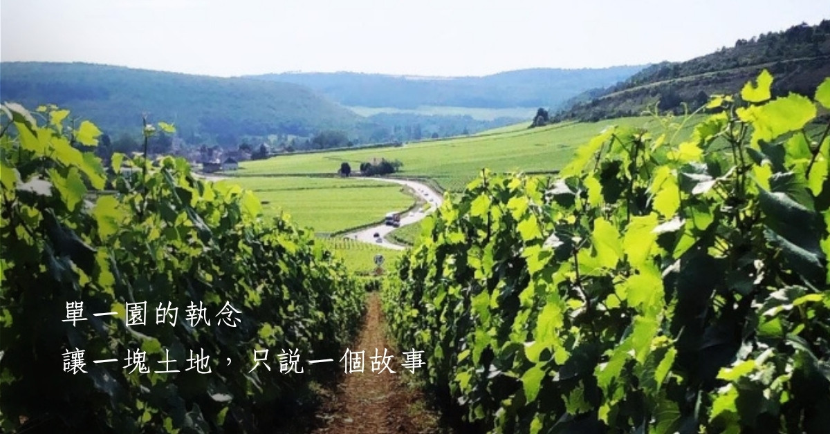 Monopole 單一園的執念｜讓一塊土地，只說一個故事