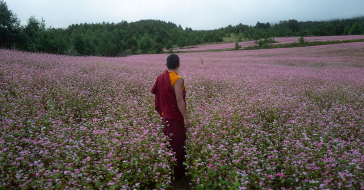 The Monk and the「根」：《不丹沒有槍》短評