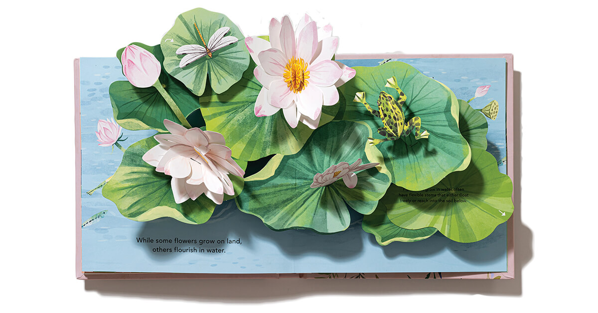 叹为观止的繁花世界《Flora: A Botanical Pop-Up Book》