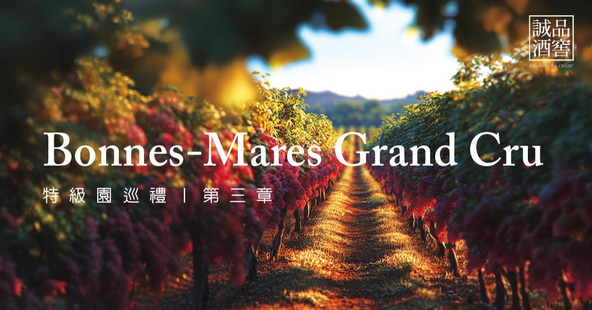 特級園巡禮:第三篇章 Bonnes‑Mares Grand Cru 芬芳之外的凝聚力