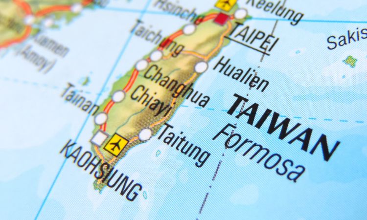 神奇海獅未來的寫作規劃