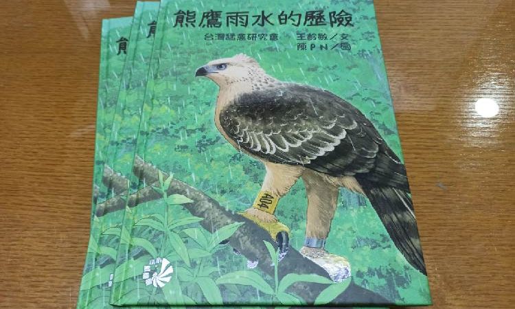 鳥類猛禽的空中霸主：熊鷹