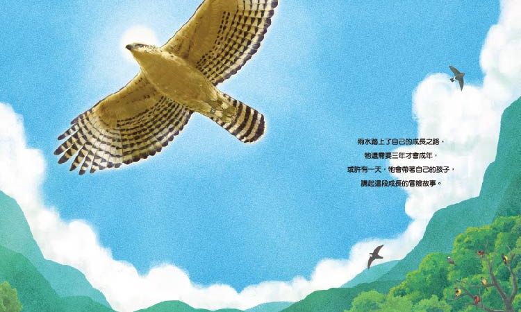 圖文書《熊鷹雨水的歷險》改編真「鳥」真事
