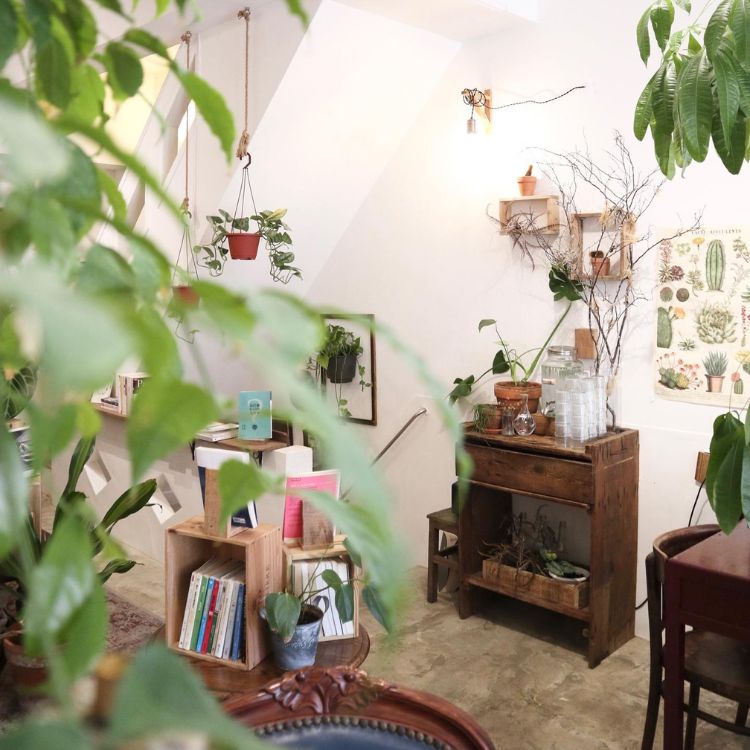 大稻埕必去咖啡廳推薦六：Grassland 草原派對