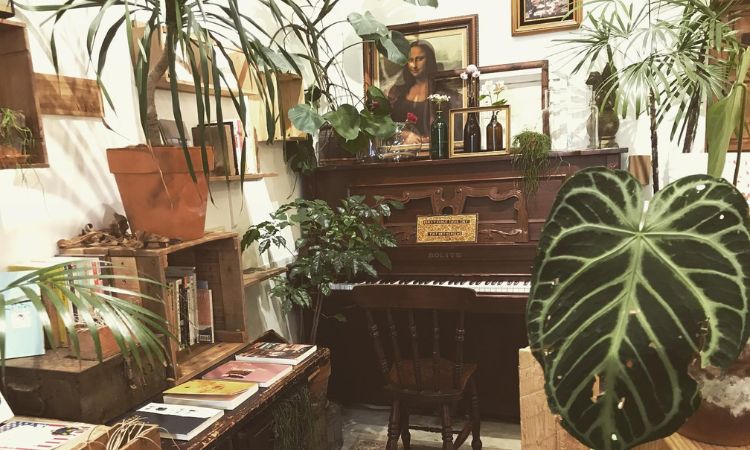 大稻埕必去咖啡廳推薦六：Grassland 草原派對