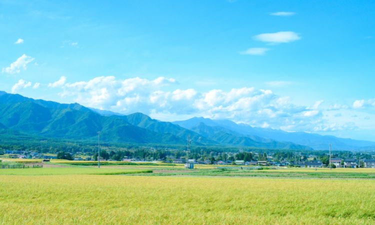 小川糸《戀路旅館》捕捉自然風光，將迷惘藏進風景