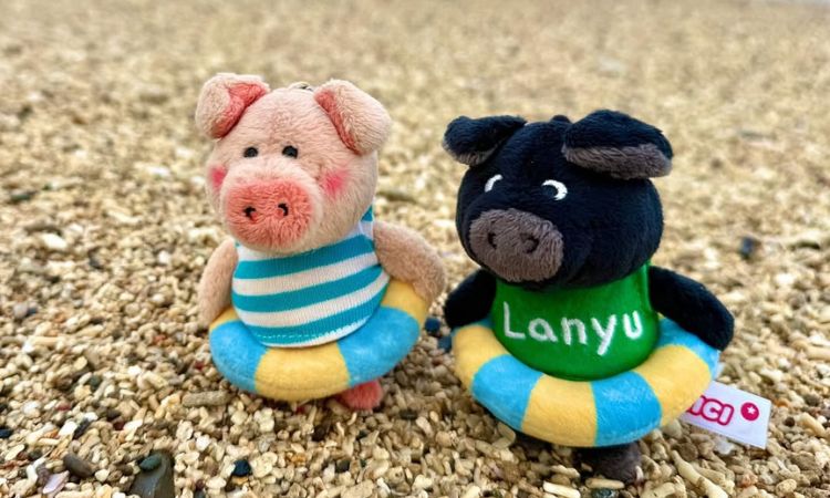 NICI泳圈大猪钥匙圈