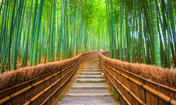 金庸《神鵰俠侶》描繪愛情的執著與信任