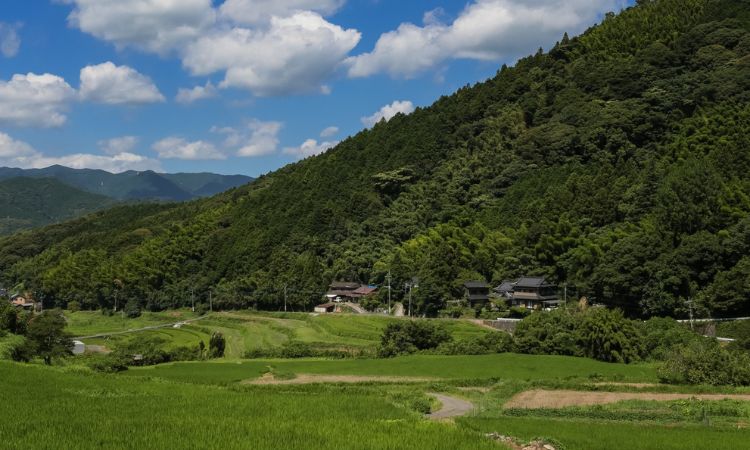 《魯冰花》串聯的奇妙緣分
