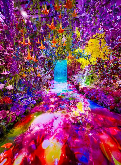 八大展區，遊走如夢似幻的自我探索旅途