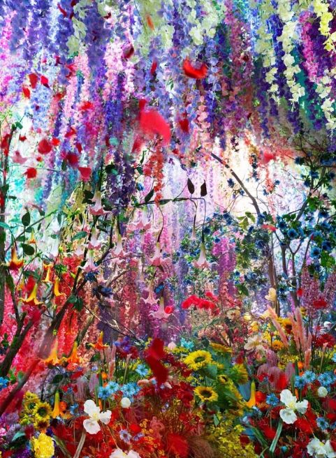 八大展區，遊走如夢似幻的自我探索旅途