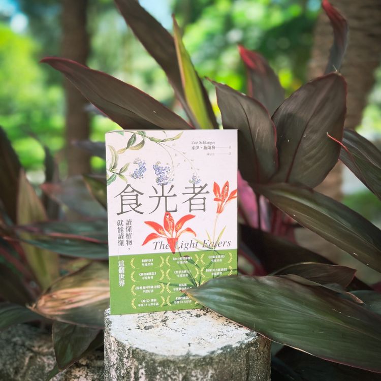 植物與人類的關係與互動