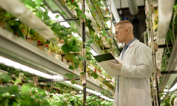 極具顛覆性質的植物研究